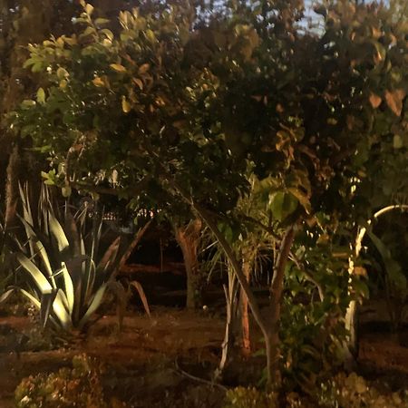 טראביה Casa Vacanze Astori מראה חיצוני תמונה