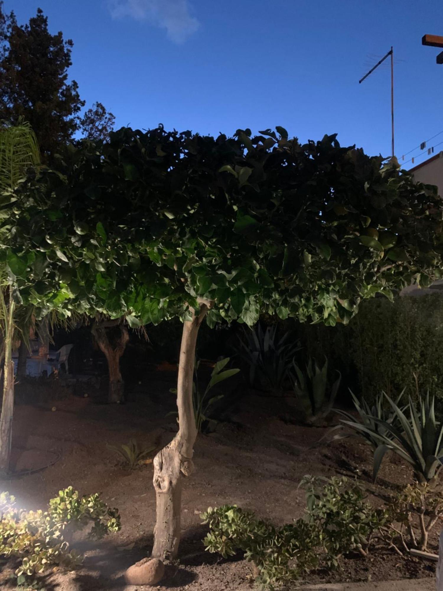טראביה Casa Vacanze Astori מראה חיצוני תמונה
