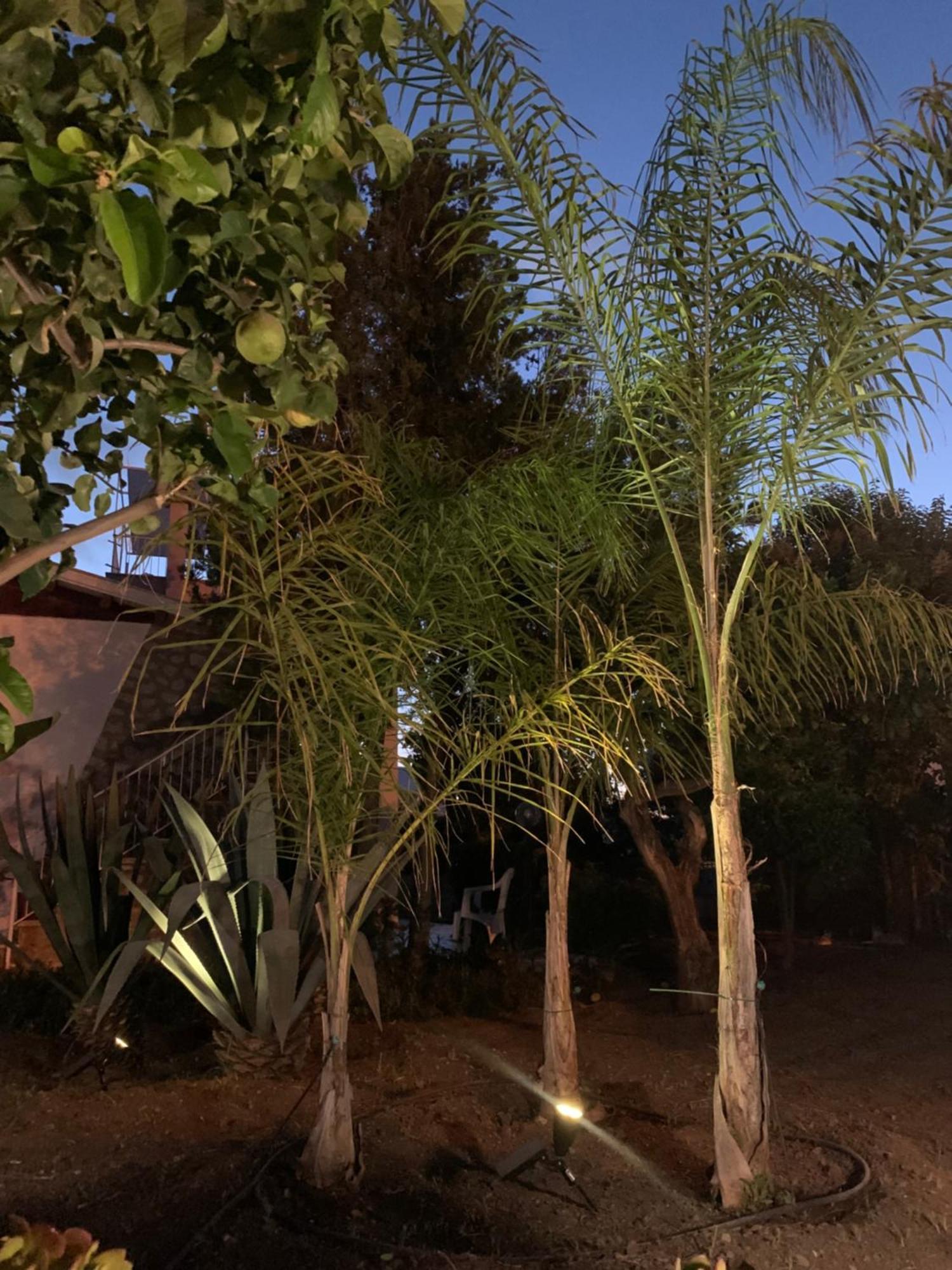טראביה Casa Vacanze Astori מראה חיצוני תמונה