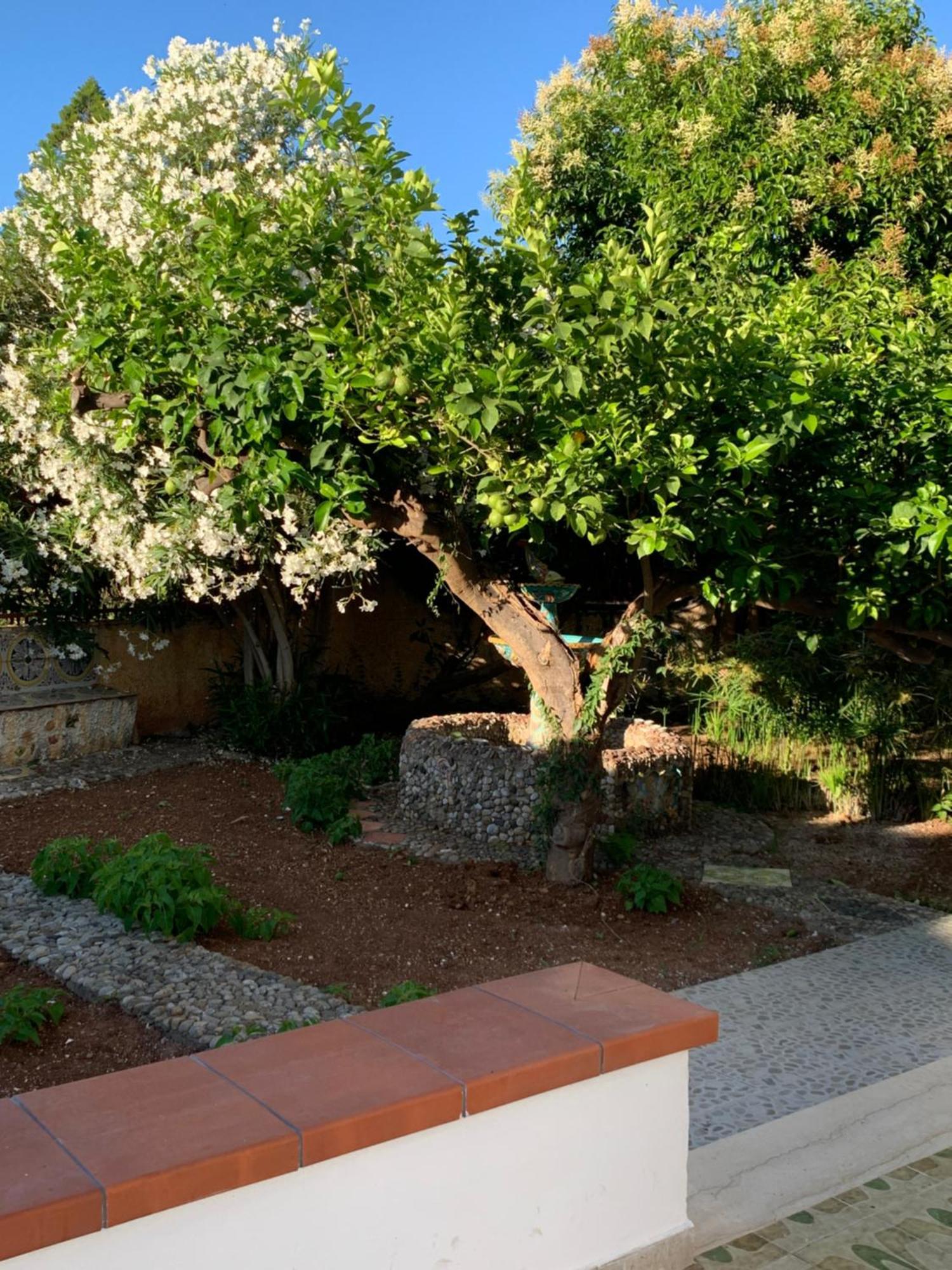 טראביה Casa Vacanze Astori מראה חיצוני תמונה