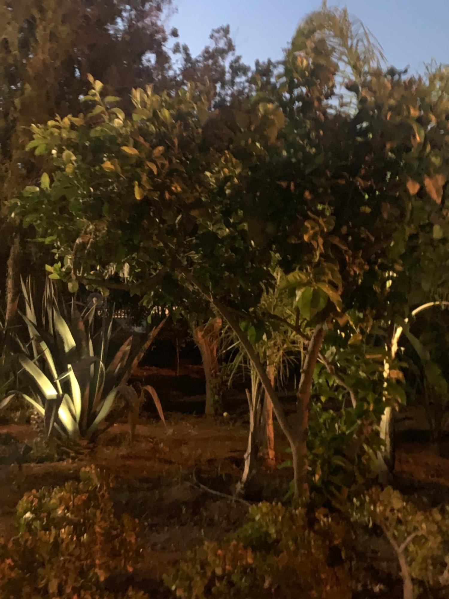 טראביה Casa Vacanze Astori מראה חיצוני תמונה